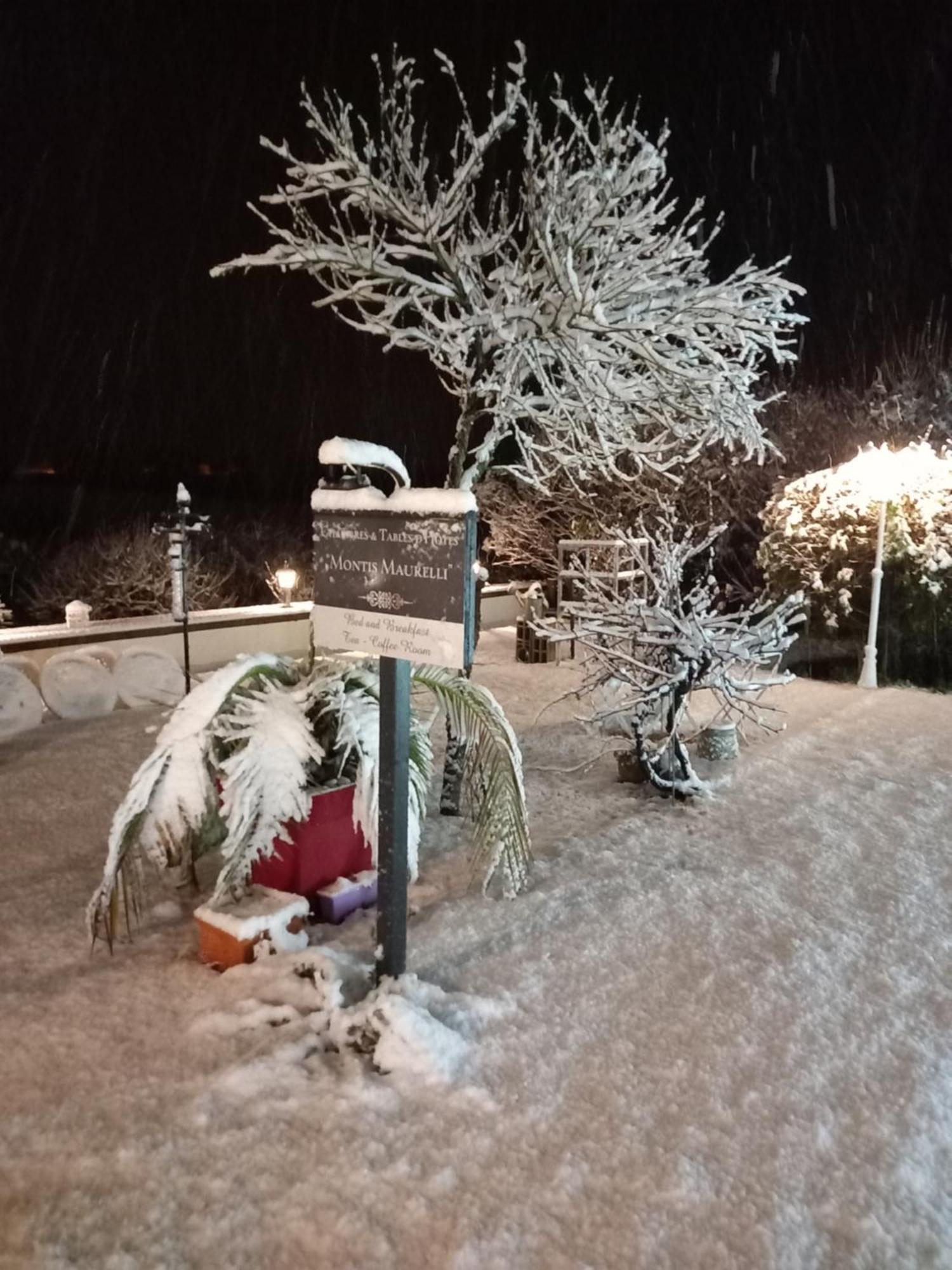 Bed and Breakfast Montismaurelli Montmoreau Екстер'єр фото